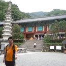 노안삼도로 이미지