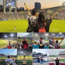 26470-01-21-331 | 전국 야구장 10개 구단 투어 후기 야구팬 버킷리스트 달성