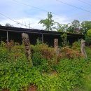 죽동마을회관앞 이미지