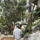 봉효빌딩(스타타워) | 홍콩여행 야경 필수코스 Peak Tram 피크트램ㅣ클룩 선구매 왕복 티켓 후기 기념품샵 추천