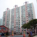 영조공인중개사사무소 이미지