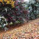 감천제방 이미지