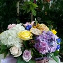 소호어린이집 이미지