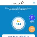 비바체 이미지
