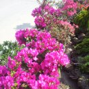 망운전통시장 이미지