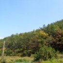 이반성면-3 이미지