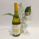 이마트트레이더스 | 코노수르 리미티드에디션 샤도네이(이마트 트레이더스)시음 후기