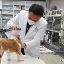 헬릭스동물암센터 이미지