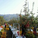 박해숙농장 이미지