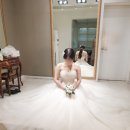 김영희헤어라인