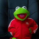 라이프스포츠센터 이미지