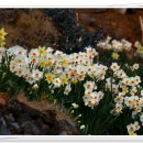 공곶이가는길 이미지