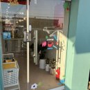 퍼피타운커피 | (파주 애견운동장/파주 애견카페) 파주 애견운동장 퍼피타운커피 강력 추천 후기