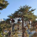 세진환경자원 이미지