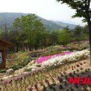 강원꽃식물원 이미지