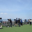 경기둘레길 파주5코스 Daum카페