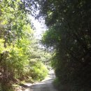 캠핑하는 집 이미지