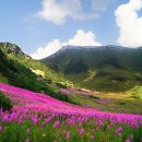 자연-이미지 이미지