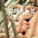 모래틈농장 네이버블로그