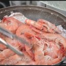 벌떡새우 이미지