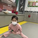 용인대 지노태권도 이미지