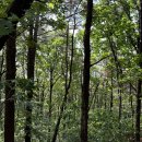 장등1로R | 6월 기록하기🗒️