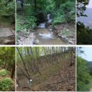 철정농장 이미지