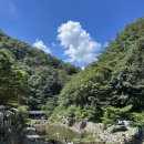 비둘기 펜션 이미지