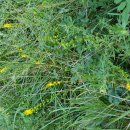 선학초등학교 이미지