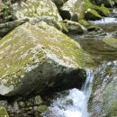 유동마을회관 이미지