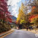 양평물맑은시장 화장실 이미지