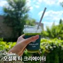 차를 좋아하는 사람들 | 오설록 티 크리에이터 5기 합격 및 발대식 후기