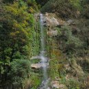 160315 푼힐(POON HILL) &amp; 안나푸르나/ABC(Annapurna Base Camp) 트레킹 ......8일차(Bambu-Landruk) 이미지