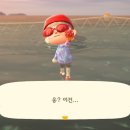 일상도감
