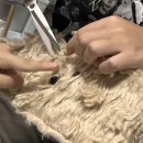 슬기로운 자취생활.