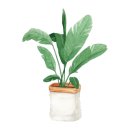 그림책이랑 놀자 이미지