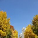 수원-원천-원천-07 이미지