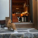 소로3-78(혁신도시) | 느좋 도시 공주, 카페 모음집 ☕️ (+추억의 캔모아)