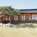 애견프라자 이미지