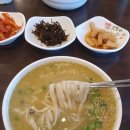 제주캠핑카라반 | [제주도 서귀포시] 제주캠핑카라반