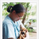 미사늘봄동물병원 이미지