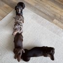 모닝하버 펜션 이미지