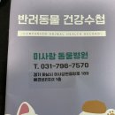 미사랑동물병원 이미지