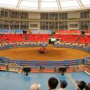 청도소싸움경기장 이미지