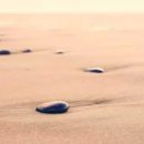 기초아크릴화 이미지