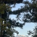 거린사슴전망대 | 한라산 영실코스(윗세오름) 눈꽃겨울산행 후기 (+준비물,소요시간,주차장 팁,1100고지)