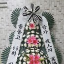 삼삼오오회