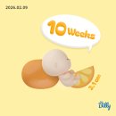 시청로L 네이버블로그