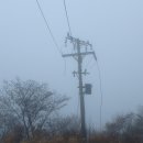 N139 이미지