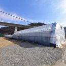 혜자농장 이미지